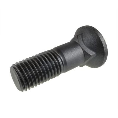 M12 กลอนหัวโดม